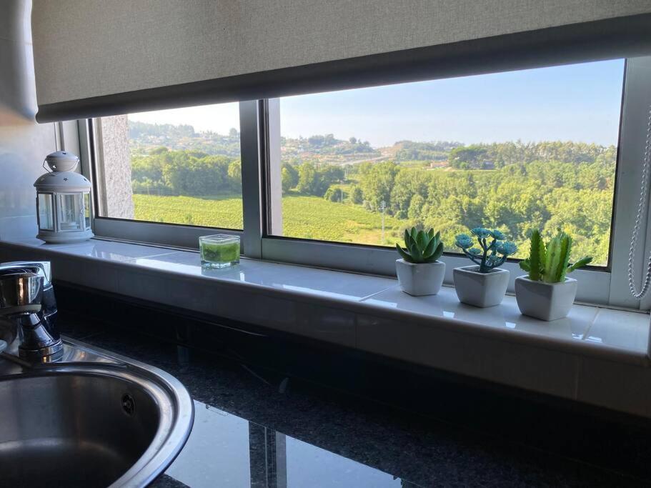 Apartment S. Mamede House - Penafiel Recezinhos